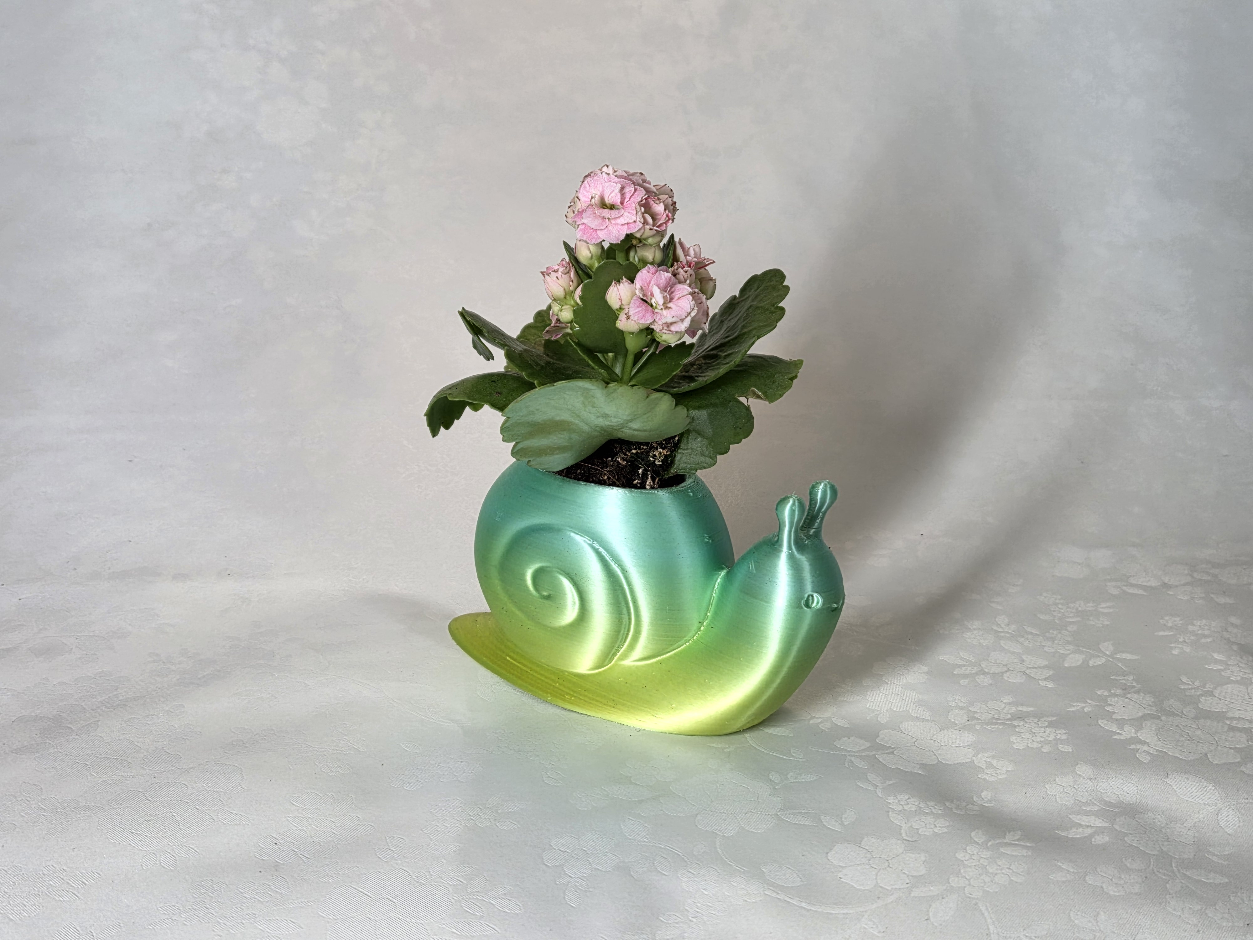 Zeleno žuta 3D printana teglica u obliku puža s biljkom
